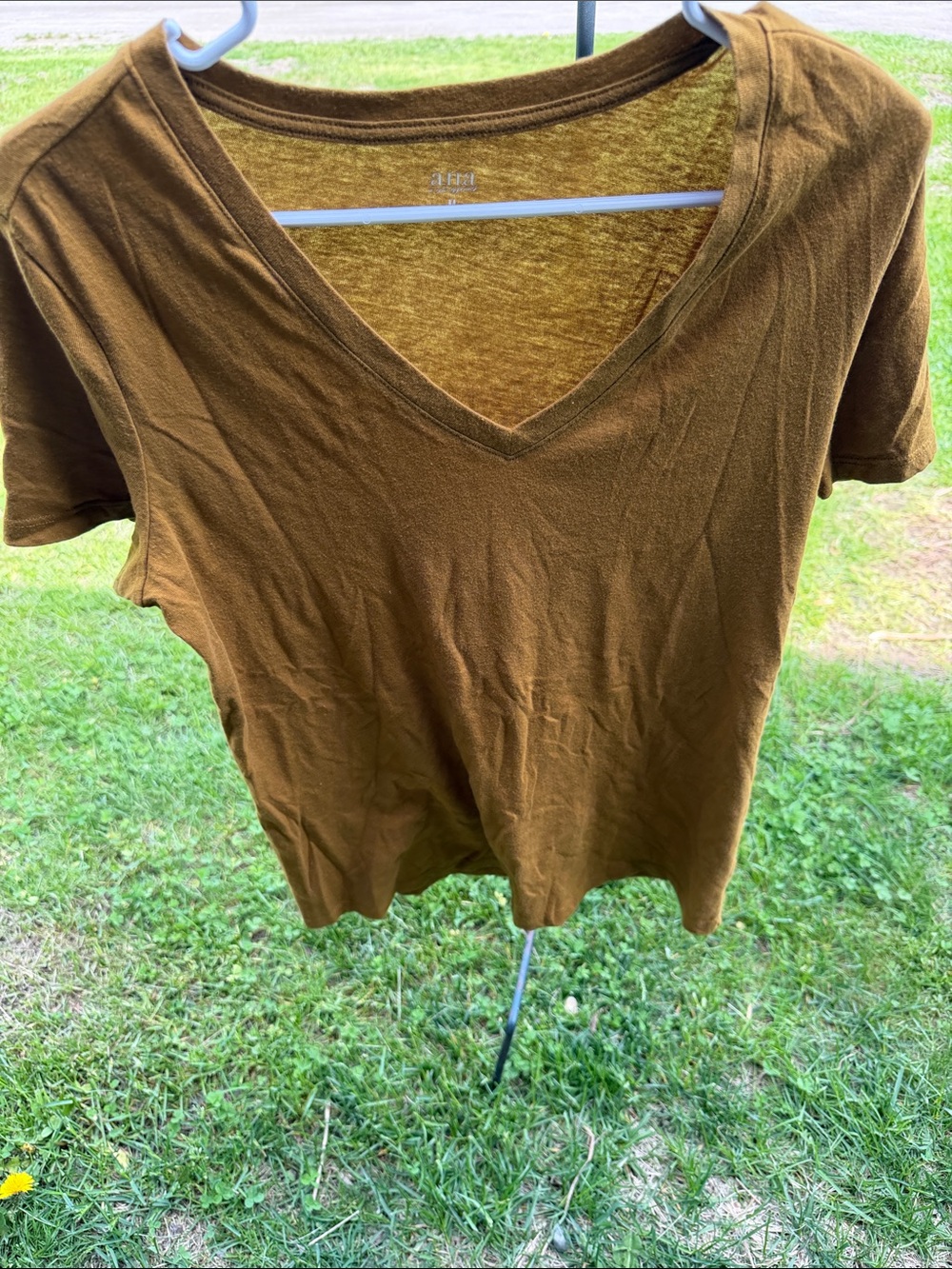 a.n.a V-Neck Short Sleeve Top in Olive Brown